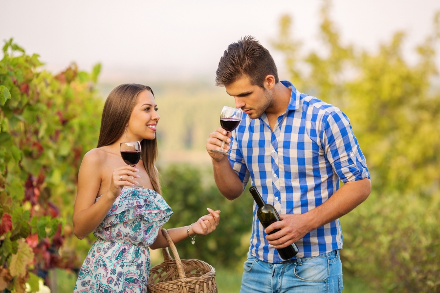 Geneva Wine Country Road Trip: Russin, Satigny, and More