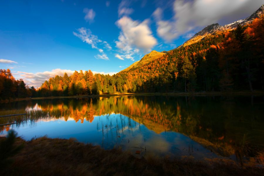 The Best Driving Routes in Switzerland During Autumn to Enjoy Harvest Celebrations