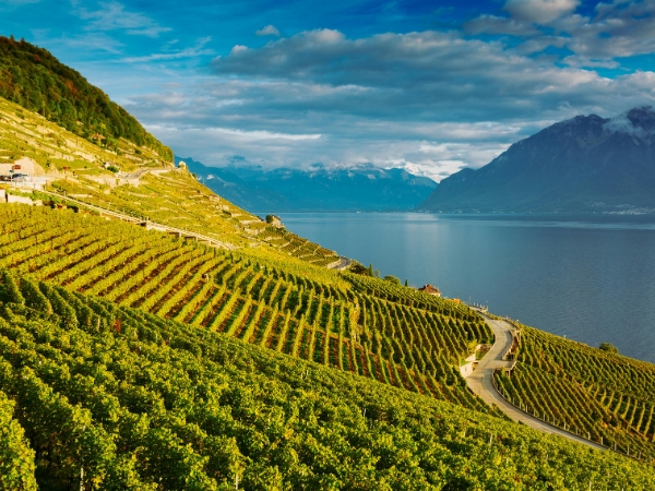 Geneva Wine Country Road Trip: Russin, Satigny, and More